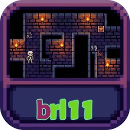 brl11